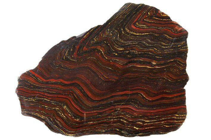 Polished Tiger Iron Stromatolite - Billion Years #129343